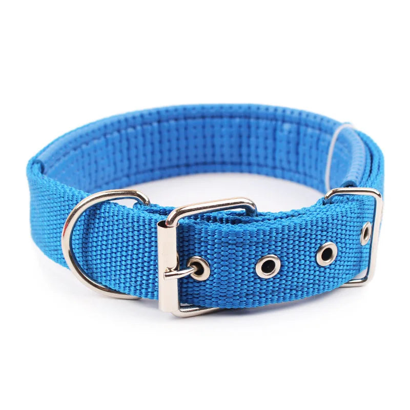 Durable Solid Nylon Dog Collar for Comfortable Daily Wear