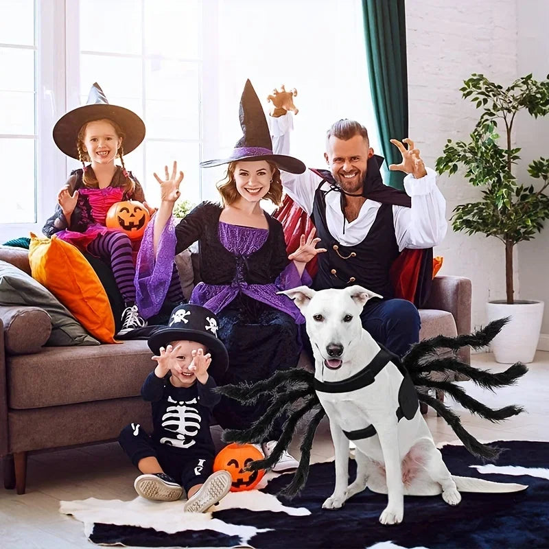 Pet Spider Halloween Costume Outfit for Cats and Dogs