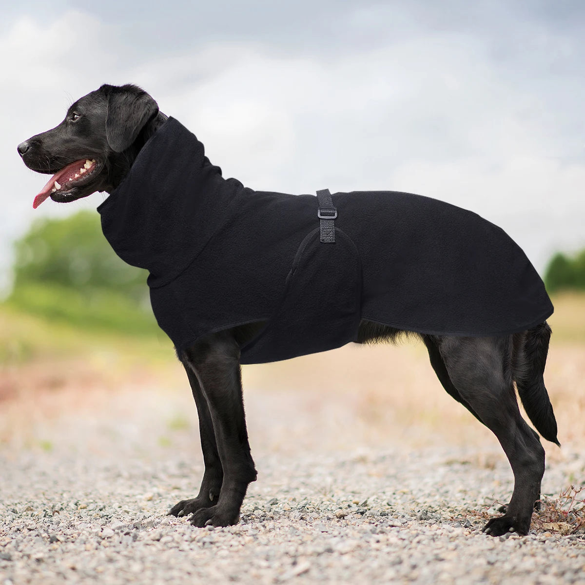 Soft Fleece Dog Winter Coat With Adjustable Closure
