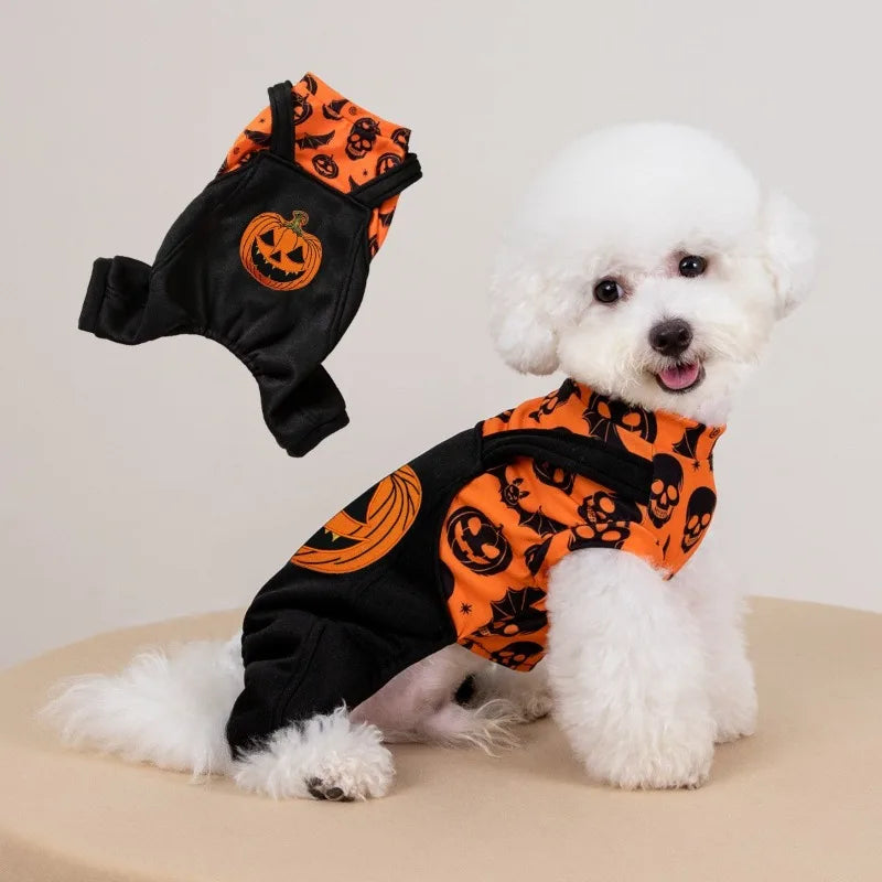 Halloween Jack O Lantern Pet Costume Stretchy Pull On Fit
