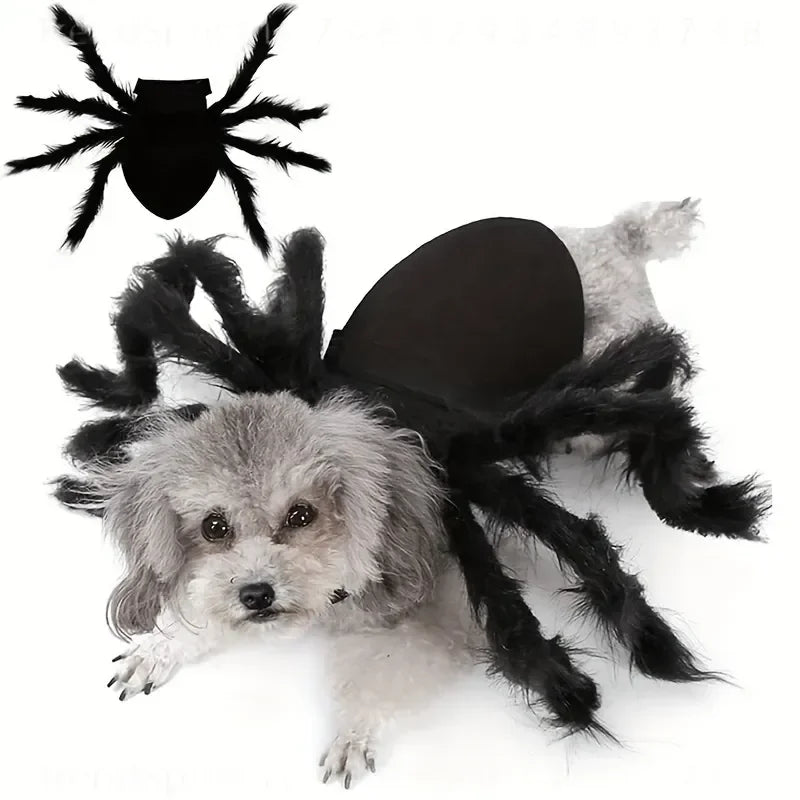 Pet Spider Halloween Costume Outfit for Cats and Dogs