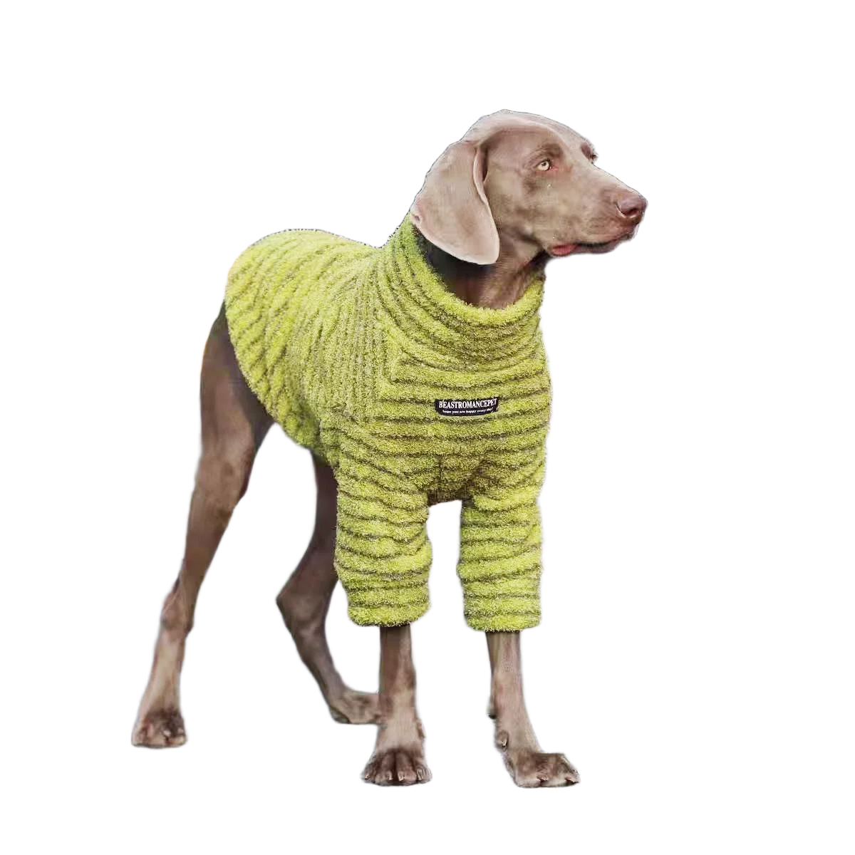 Hoopreety Stripe Cotton Dog Sweater Turtleneck