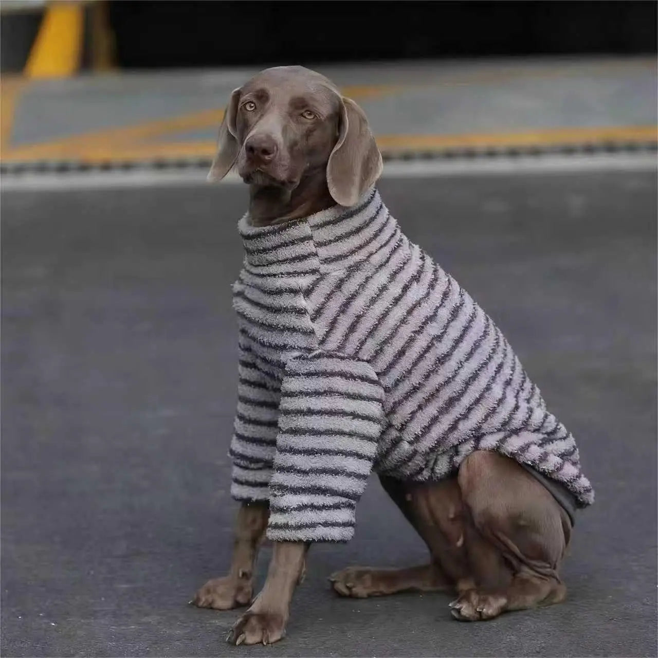 Hoopreety Stripe Cotton Dog Sweater Turtleneck