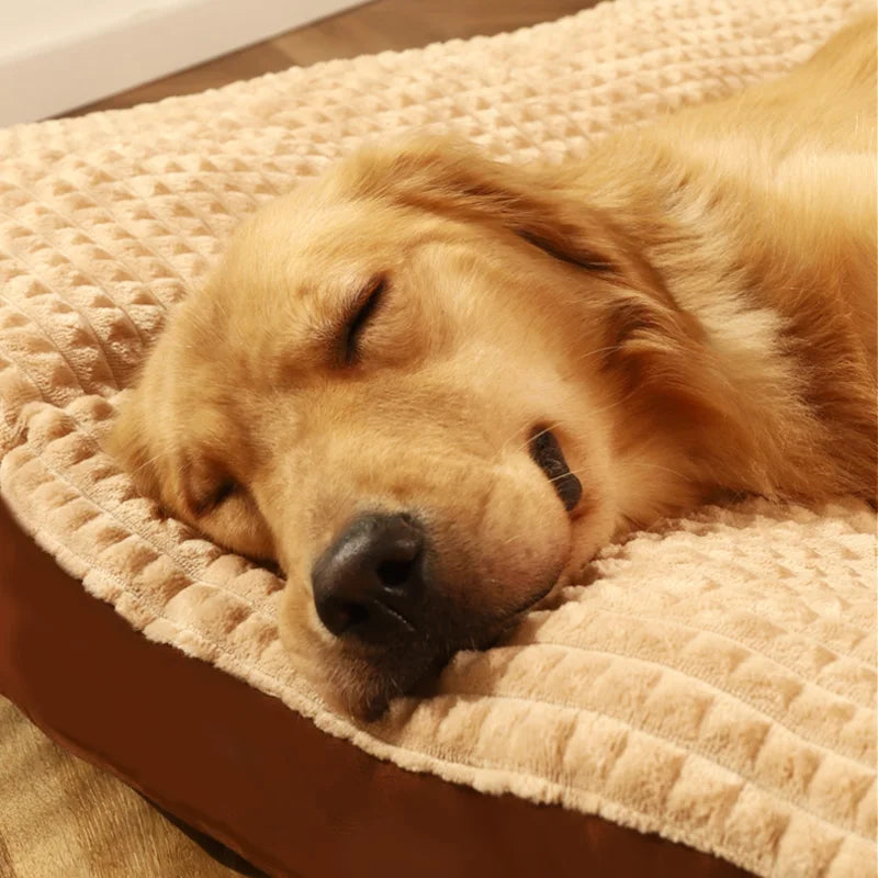 Hoopet Winter Warm Dog Bed With Soft Fleece Blanket