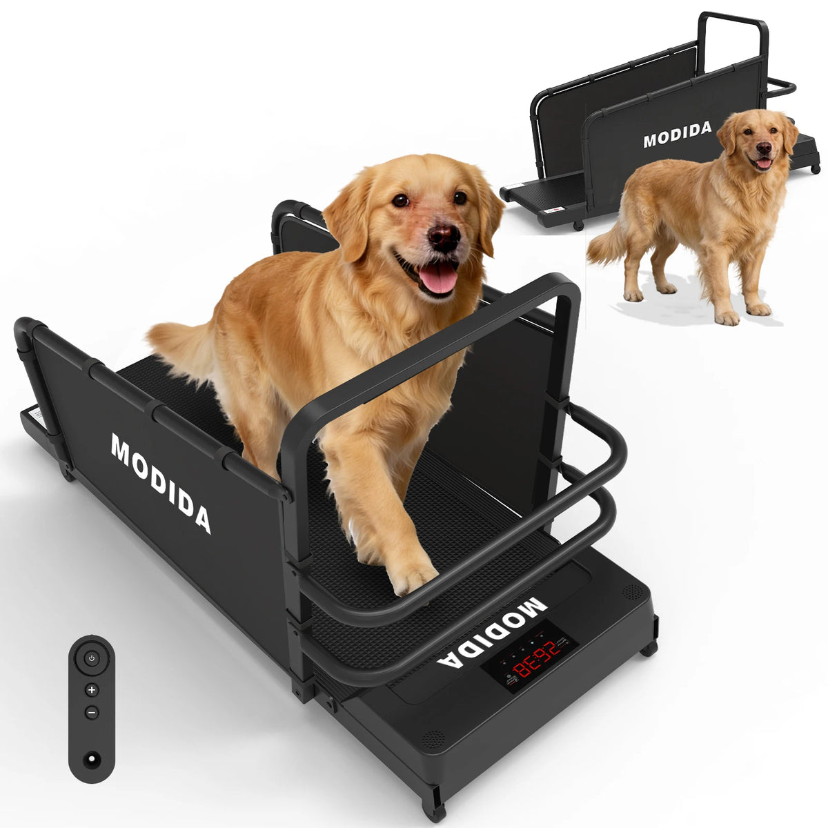 MODIDA Indoor Dog Treadmill With Adjustable Speed And LED Display