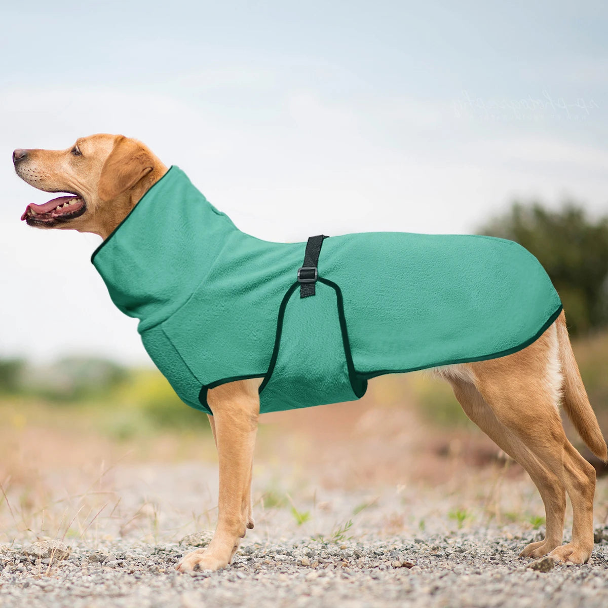 Soft Fleece Dog Winter Coat With Adjustable Closure