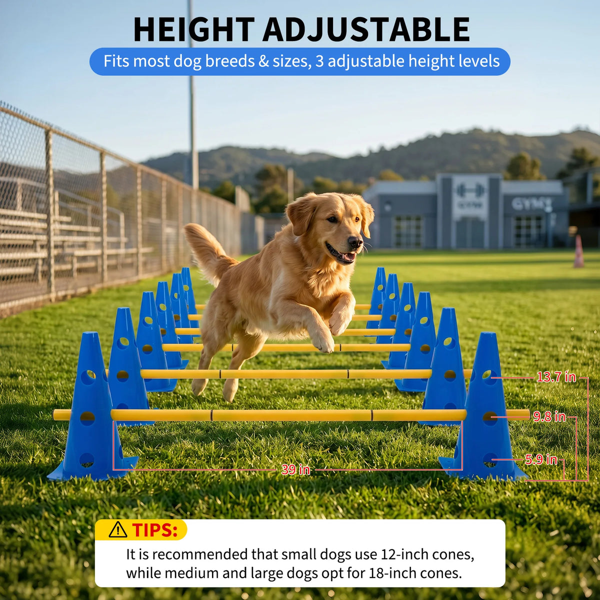Dog Agility Training Cones And Rods Set With Adjustable Hurdles