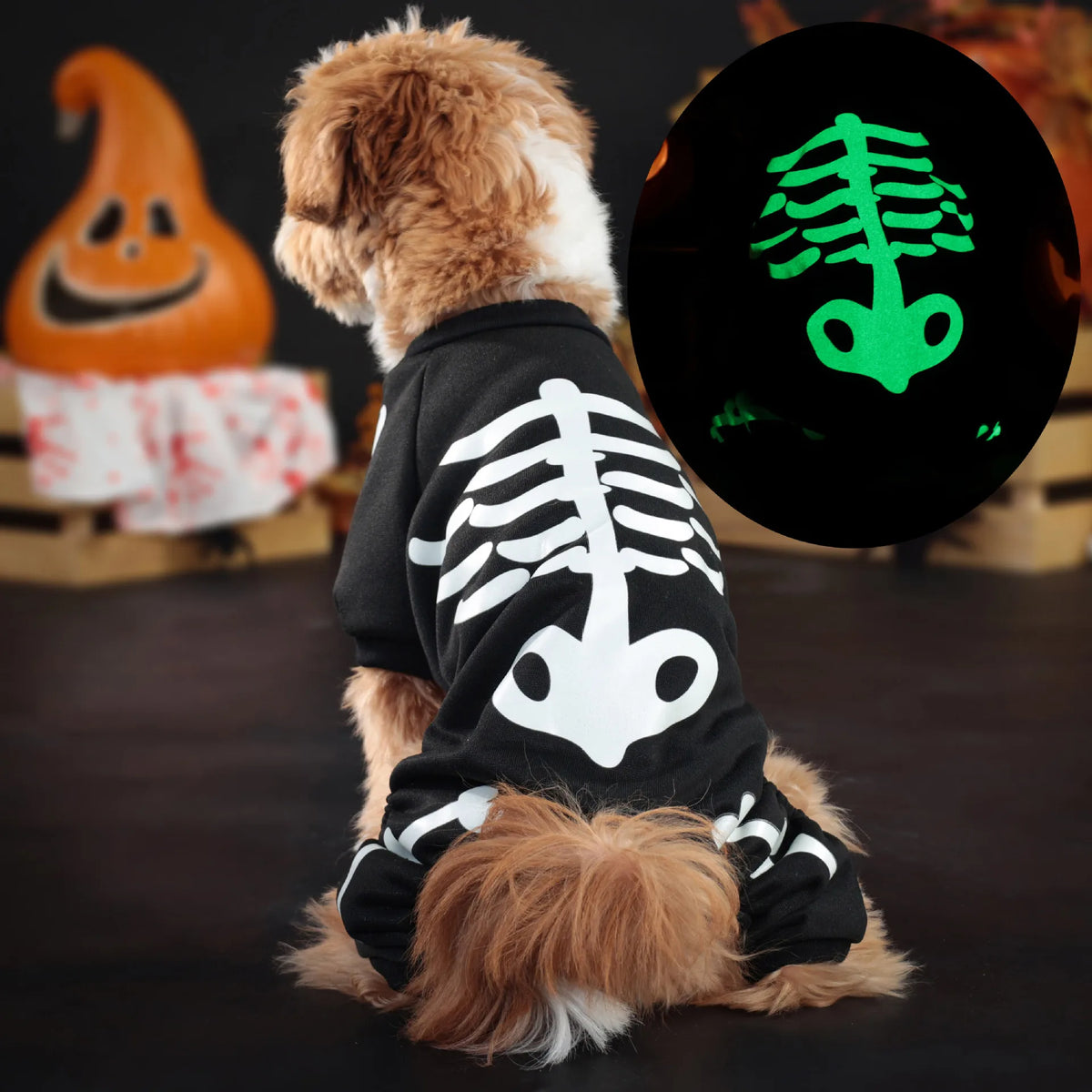Glow Print Skeleton Dog Jumpsuit for Halloween Costume Parties