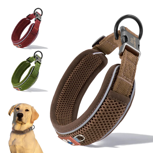 Personalized Reflective Mesh Dog Collar With Breathable Padded Comfort